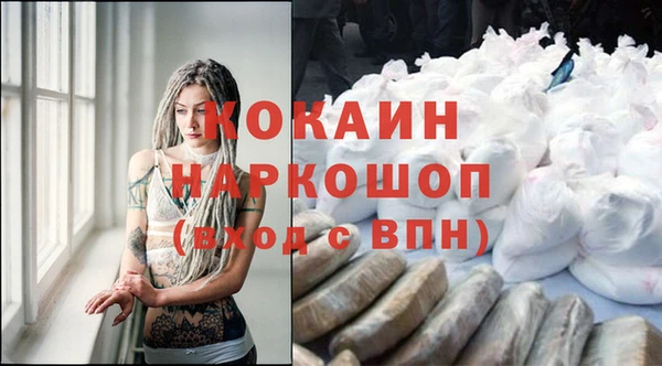 apvp Алзамай