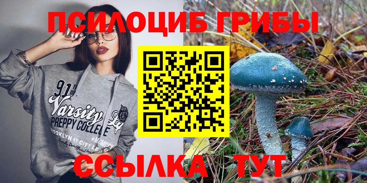 Борзя  Галлюциногенные грибы Psilocybine cubensis  Вход с VPN 
