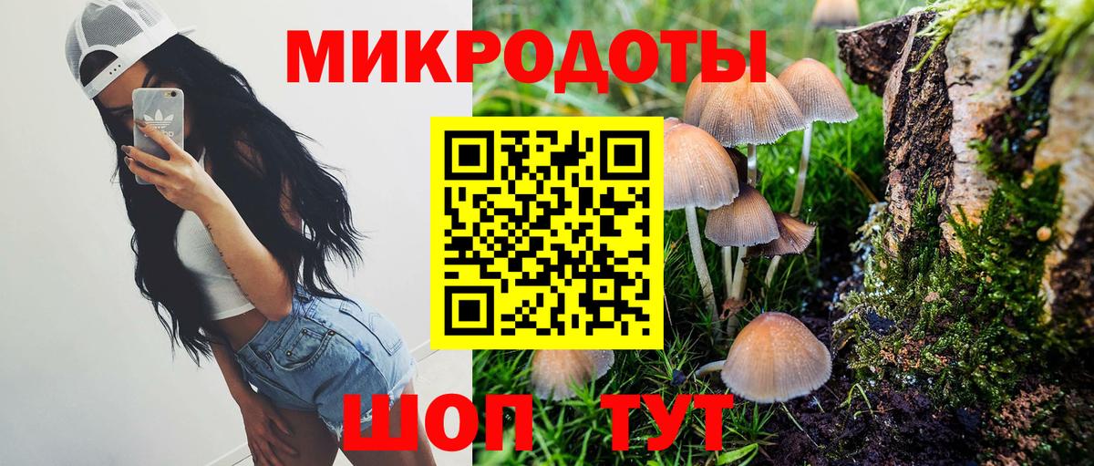 Галлюциногенные грибы мицелий Борзя